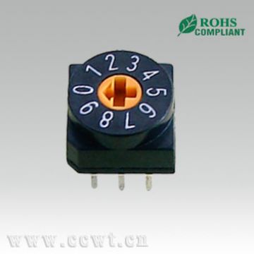 10 Position Rotary Dip Switch